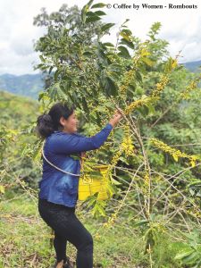 Coffee by Women : un hommage aux femmes productrices de café