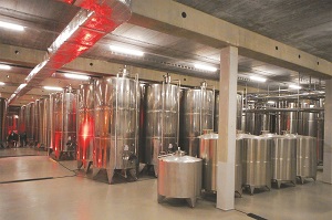 Delhaize a inauguré à Asse son nouveau site d’embouteillage de vin